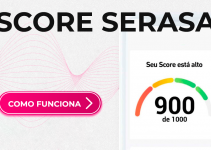 Score Serasa: Como Funciona