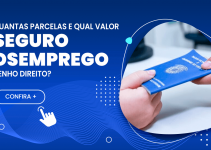 Como Saber Quantas Parcelas e Qual Valor do Seguro Desemprego Tenho Direito?