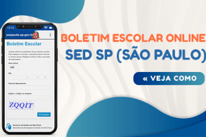 Boletim Escolar Online São Paulo